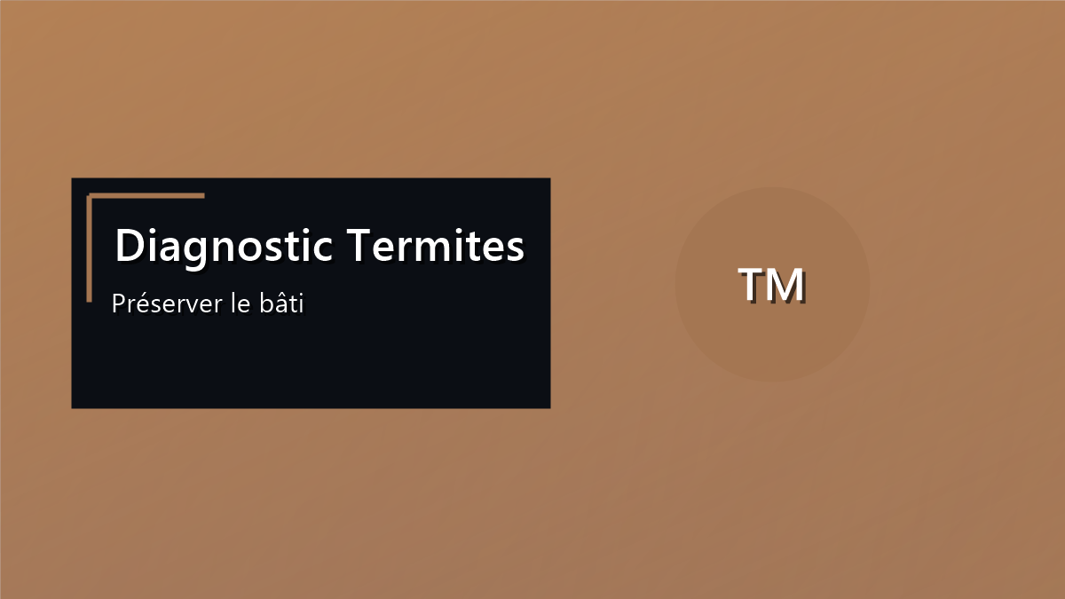 Couverture du guide sur le diagnostic termites